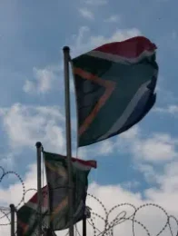 Zuma und Zondo